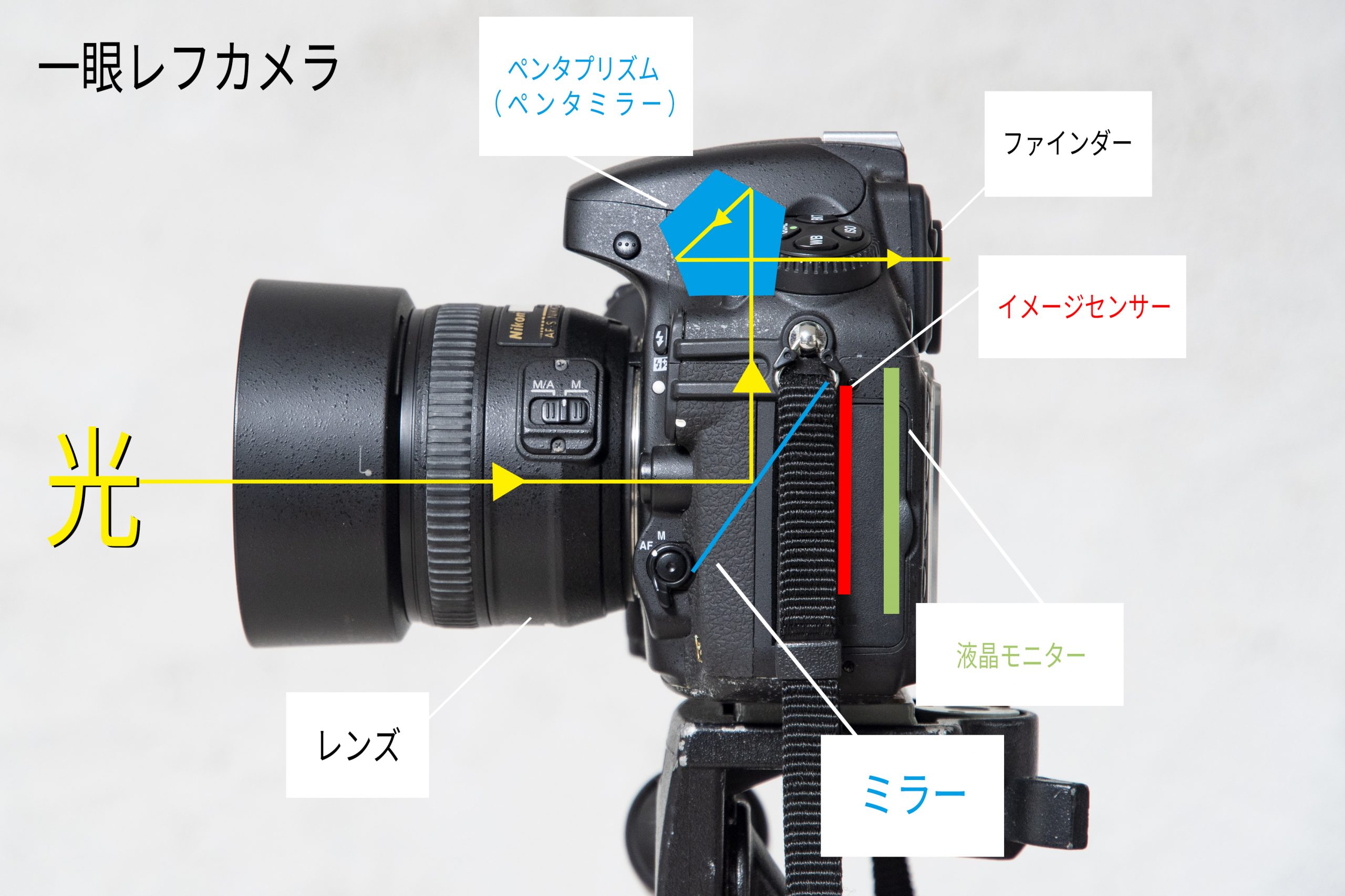 ※写真はイメージです。 ボディ：Nikon D800 レンズ：Nikon AF-S NIKKOR 50mm f/1.4